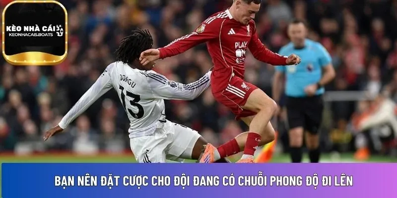 Bạn nên đặt cược cho đội 