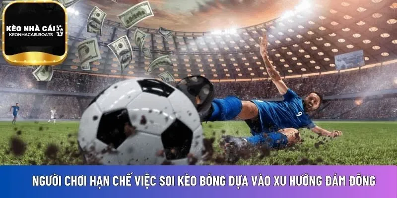  soi kèo bóng dựa vào xu hướng đám đông