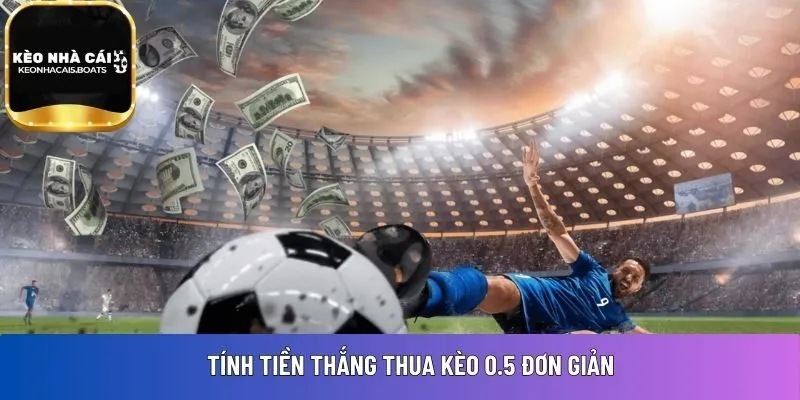 Tính tiền thắng thua kèo 0.5 đơn giản