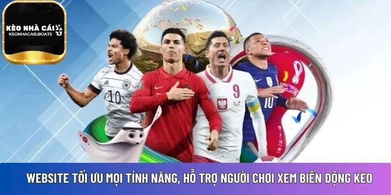 Website tối ưu mọi tính năng